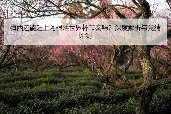 梅西还能赶上阿根廷世界杯节奏吗？深度解析与竞猜评测