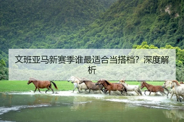 文班亚马新赛季谁最适合当搭档？深度解析